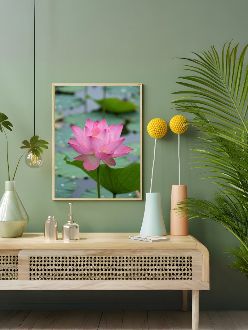 Hoa sen hồng nở rộ mockup