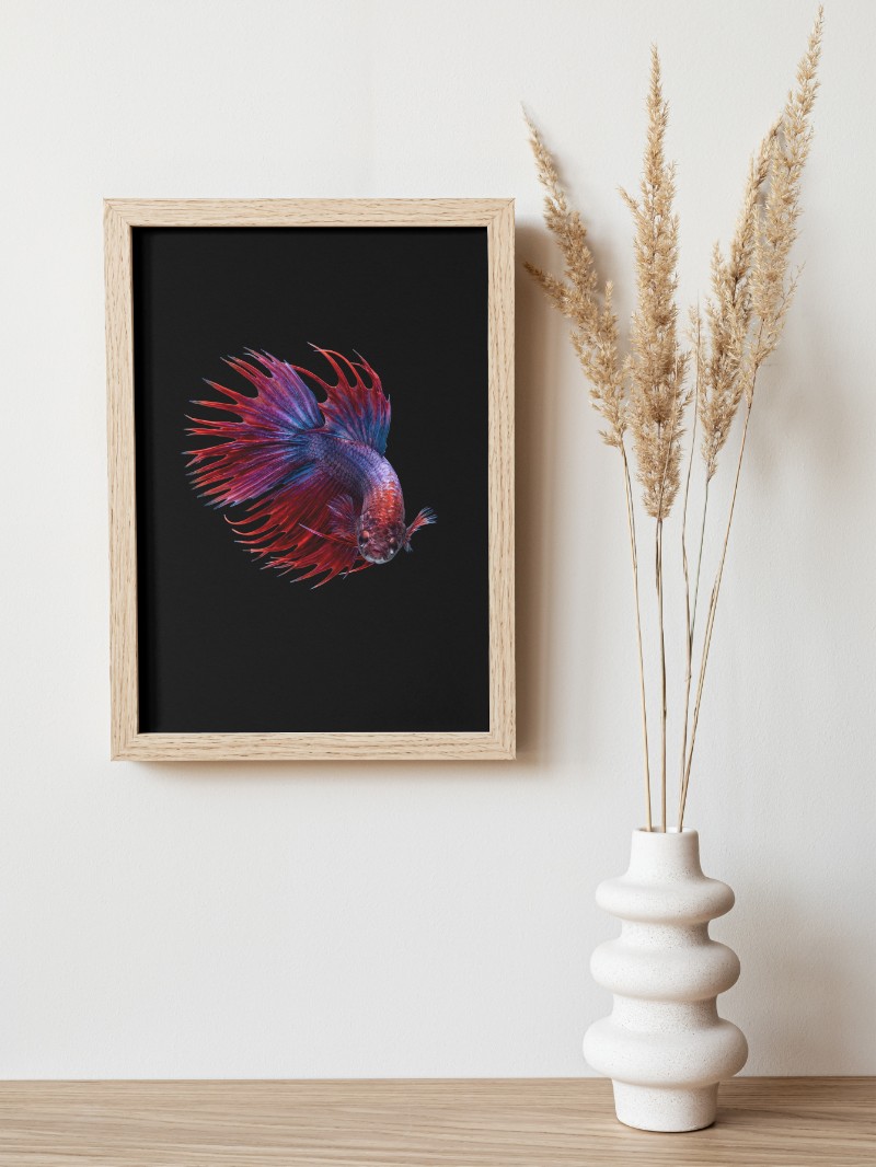 Tranh Cá Cảnh Nghệ Thuật Cao Cấp - Biểu Tượng Tài Lộc & Bình An mockup