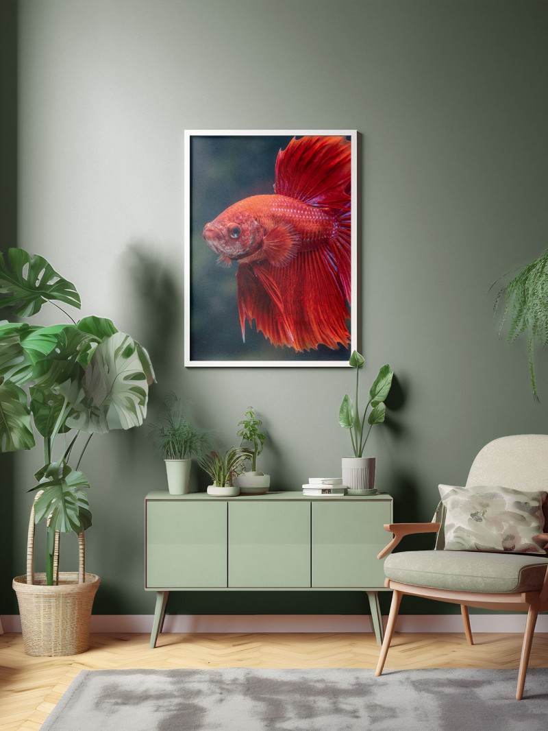 Tranh Cá Xiêm Đỏ Nghệ Thuật - Vẻ Đẹp Kiêu Hãnh Và Quyền Quý mockup